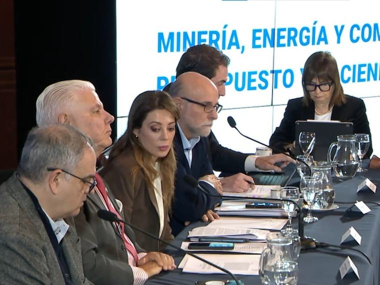 Senado: el oficialismo y la oposición dialoguista dieron dictamen a la nueva Ley de Biocombustibles