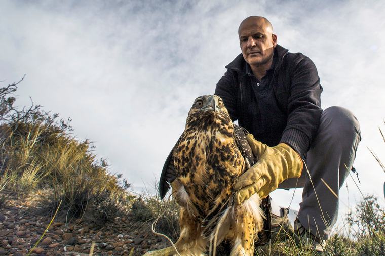 Víctor Fratto, experto en conservación: “El manejo de la fauna y de los ecosistemas requiere de conocimiento científico”