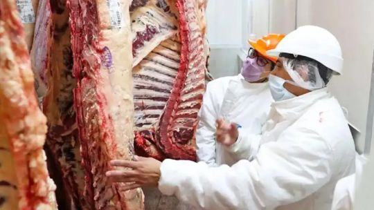 La suspensión de Brasil en Europa abre una ventana de oportunidad para la carne argentina
