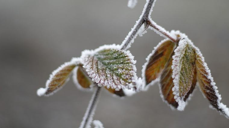 El Valle está en alerta: anticipan mínimas de-6 grados