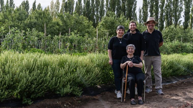 Una receta que viajó desde Italia y une generaciones: la salsa de Centenario que apareció en un papel olvidado