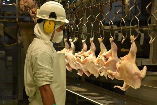 Granja Tres Arroyos debe reincorporar 1.200 empleados y podría entrar en convocatoria de acreedores