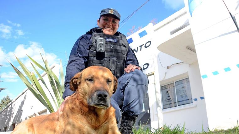 Puchero, el perro bicipolicía: la historia del guardián de cuatro patas que eligió a la fuerza de Neuquén