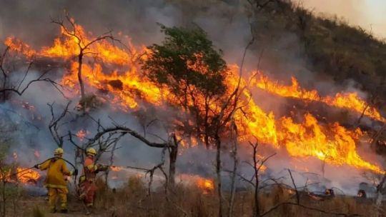FEARCA advirtió por el riesgo de “doble sanción” en el proyecto que busca penalizar el daño ambiental