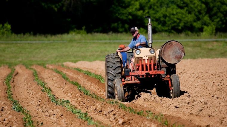 Campo: advierten que 120.000 puestos de trabajo están en peligro por el vencimiento de un decreto
