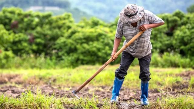 Venció el régimen para trabajadores rurales y 120.000 empleos quedaron bajo incertidumbre