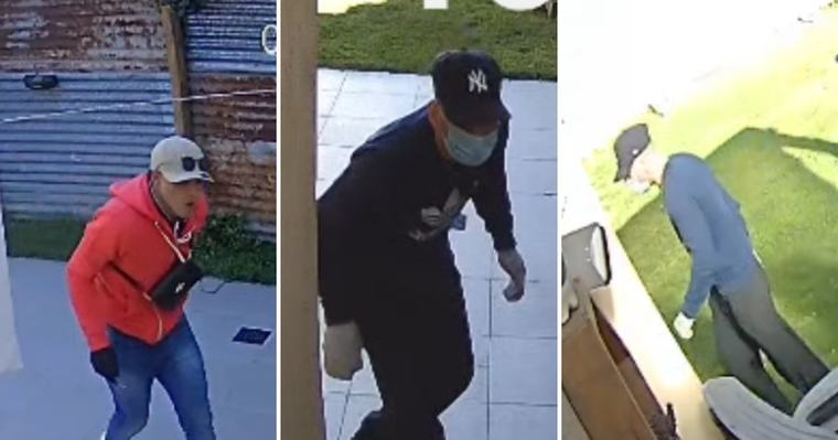 Videos Los ladrones que le robaron a la jueza de La Plata llegaron saltando por tres casas y quedaron filmados