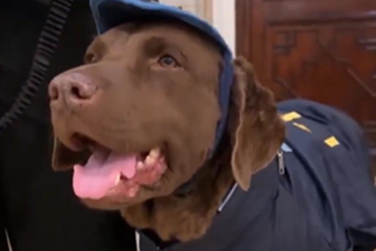 Javier Milei recibe a la perra Hela, que se retira de la Policía Federal