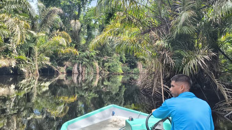 Costa Rica: un viaje por la selva, para navegar entre canales y ver tortugas